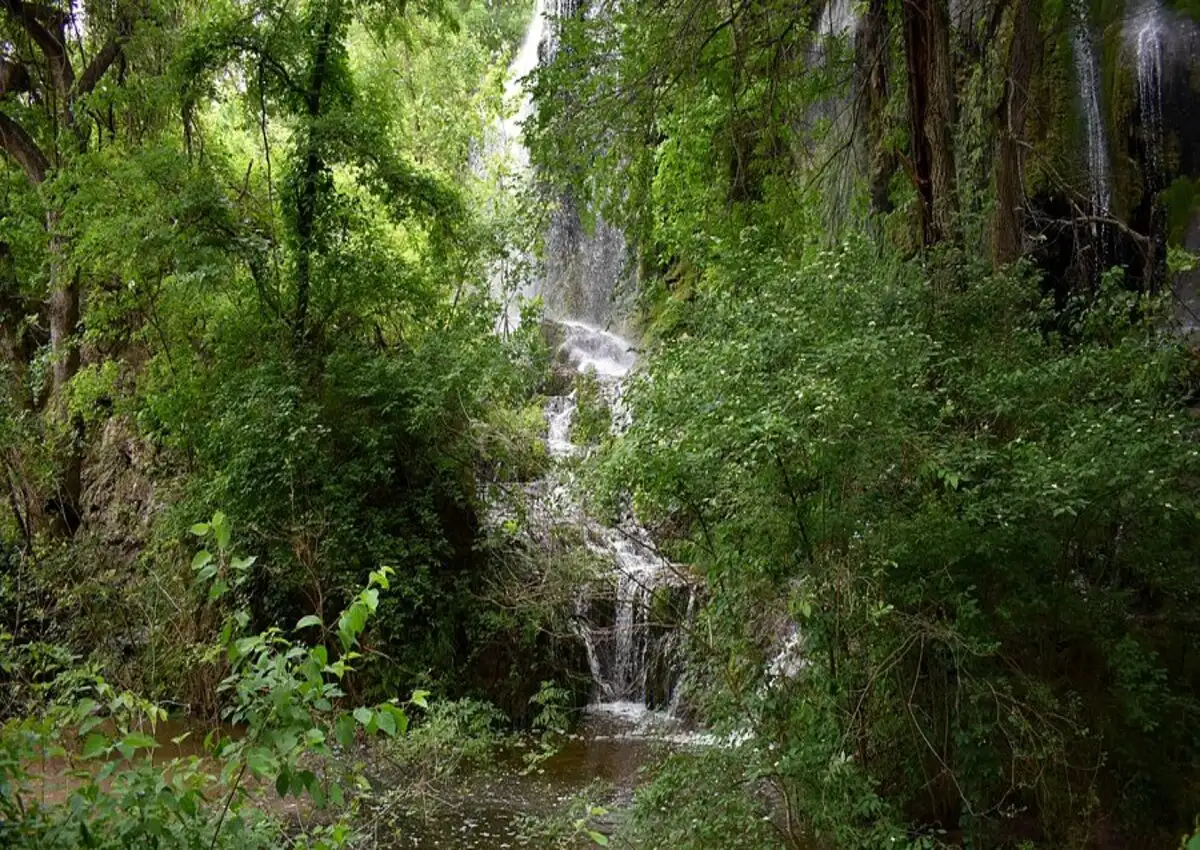 Gorman Falls