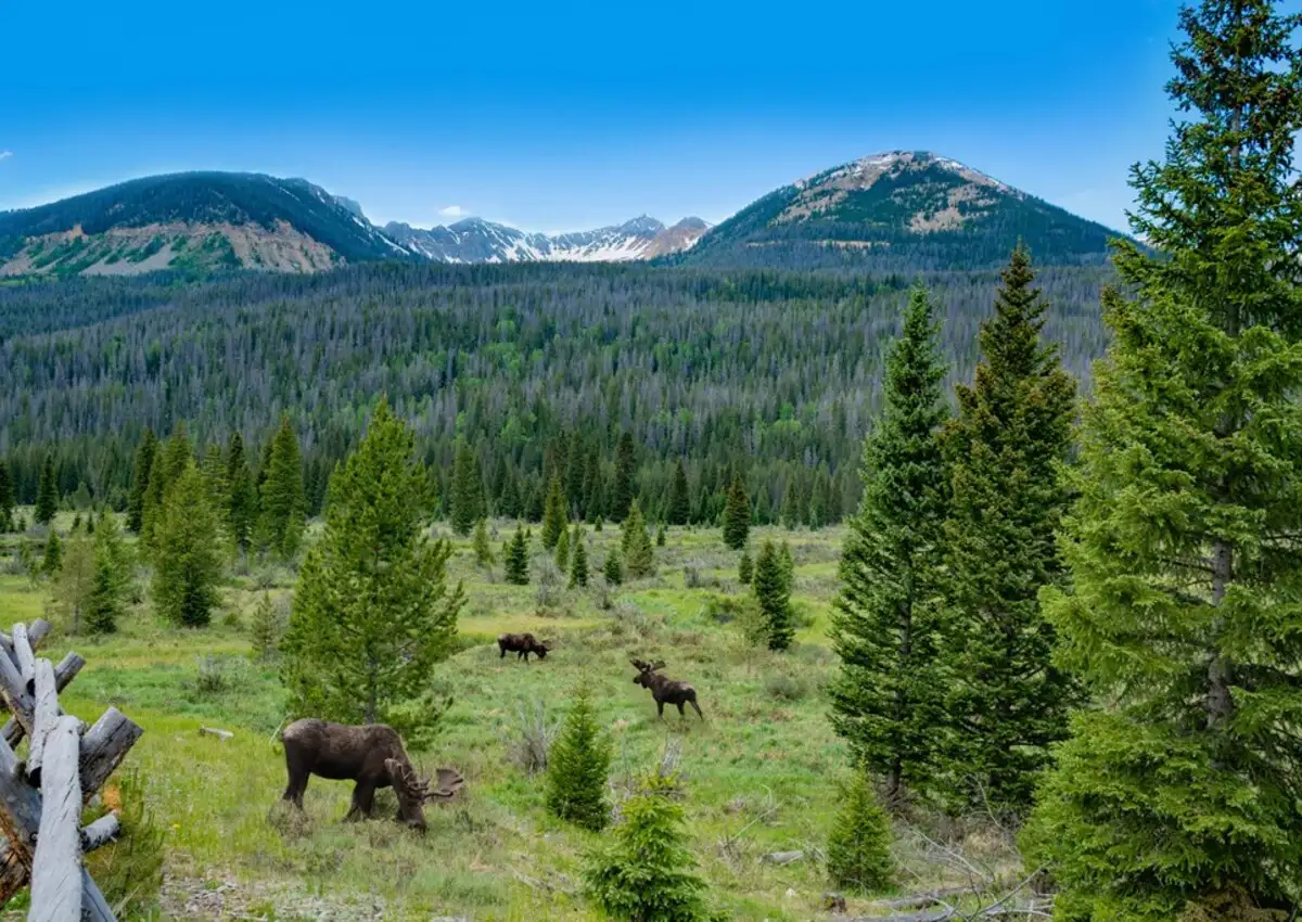 rocky mountain national park