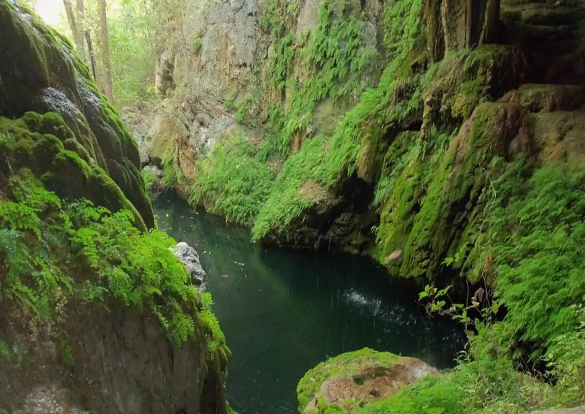 Westcave Preserve Waterfall